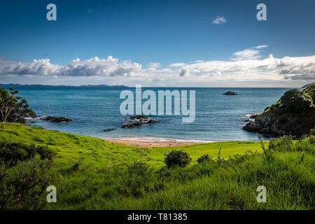 Hiking on the beautiful coast of Doubtless Bay in Northland, New Zealand Stock Photo