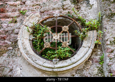 Crumbling mausoleum wall with round window and iron bars, and plants growing out cracks, as a textured background Stock Photo