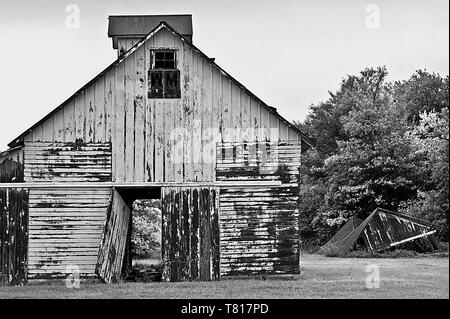Black and white image of an abandoned weathered barn with peeling paint and a broken barn door in a field on a farm in rural Illinois. Stock Photo