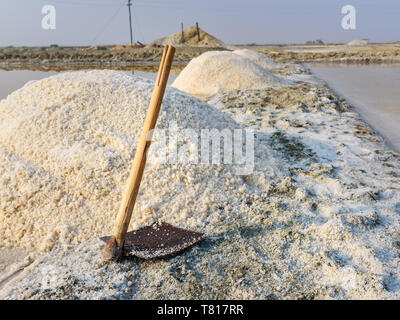 Shovel on heaps of salt on Sambhar Salt Lake. Rajasthan. India Stock Photo