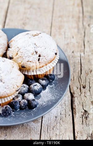 Homemade fresh muffins with sugar powder and blueberries on ceramic plate closeup on rustic wooden table background. Stock Photo