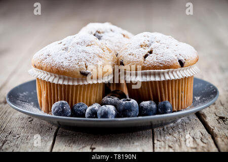 Homemade fresh muffins with sugar powder and blueberries on ceramic plate on rustic wooden table background. Stock Photo