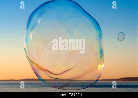 Large soap bubbles floating in blue sky toward sunset over Puget Sound Stock Photo