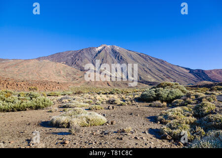 Pico del Teide is the highest peak in Spain. Its height is approximately 7,500 m, which is 3,718 m above sea level. Tenerife, Canary Islands, Spain Stock Photo