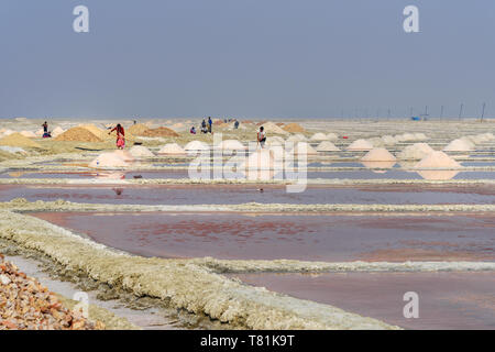 Sambhar, India - February 04, 2019: Indian workers harvesting salt on Sambhar Salt Lake at morning. Rajasthan Stock Photo