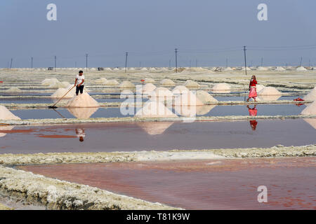 Sambhar, India - February 04, 2019: Indian workers harvesting salt on Sambhar Salt Lake at morning. Rajasthan Stock Photo