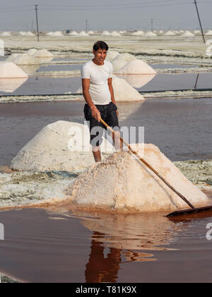 Sambhar, India - February 04, 2019: Indian man mining salt on Sambhar Salt Lake. Rajasthan Stock Photo