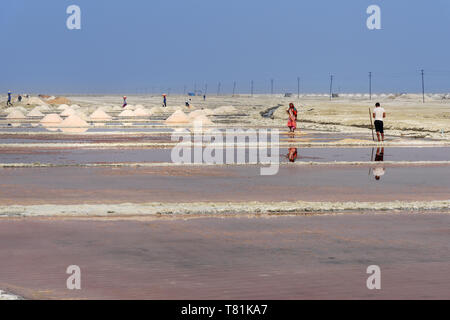 Sambhar, India - February 04, 2019: Indian workers harvesting salt on Sambhar Salt Lake at morning. Rajasthan Stock Photo