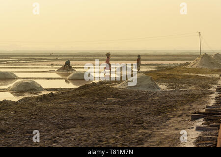 Sambhar, India - February 04, 2019: Indian workers harvesting salt on Sambhar Salt Lake at morning. Rajasthan Stock Photo