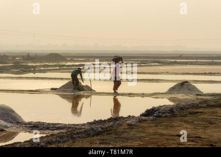 Sambhar, India - February 04, 2019: Indian workers harvesting salt on Sambhar Salt Lake at morning. Rajasthan Stock Photo