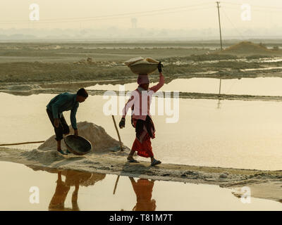 Sambhar, India - February 04, 2019: Indian workers harvesting salt on Sambhar Salt Lake at morning. Rajasthan Stock Photo