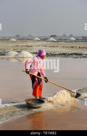 Sambhar, India - February 04, 2019: Indian woman harvesting salt on Sambhar Salt Lake. Rajasthan Stock Photo