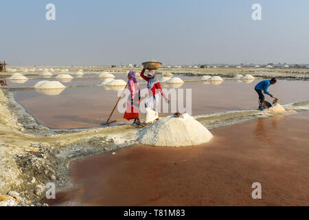 Sambhar, India - February 04, 2019: Indian workers harvesting salt on Sambhar Salt Lake at morning. Rajasthan Stock Photo