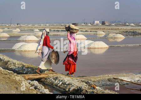 Sambhar, India - February 04, 2019: Indian workers harvesting salt on Sambhar Salt Lake at morning. Rajasthan Stock Photo