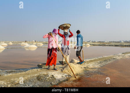 Sambhar, India - February 04, 2019: Indian workers harvesting salt on Sambhar Salt Lake at morning. Rajasthan Stock Photo