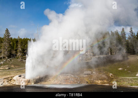 Riverside Geyser, Yellowstone Stock Photo