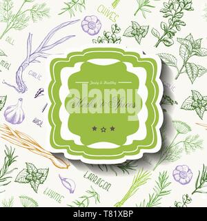 Seamless pattern with spices and herbs and inscription in the middle. Vector illustration for your design Stock Vector