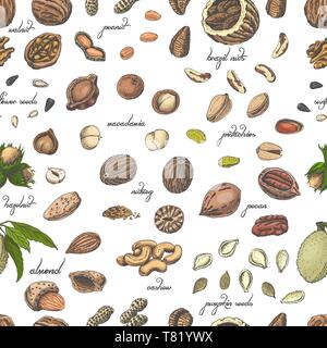 Seamless pattern with colored nuts and seeds. Vector illustration for your design Stock Vector