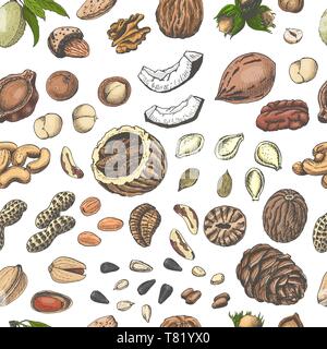 Seamless pattern with colored nuts and seeds. Vector illustration for your design Stock Vector