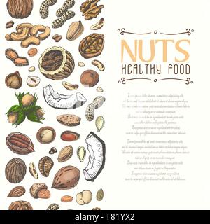 Vertical seamless background with colored nuts and seeds. Vector ...