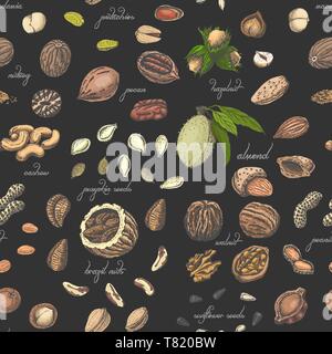 Seamless pattern with colored nuts and seeds. Vector illustration for your design Stock Vector