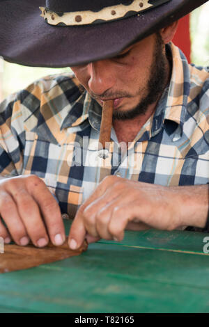 Vinales in Cuba is the area associated with the best cigars in the world,where cigar tobacco is grown and cigars rolled in World Heritage landscape Stock Photo