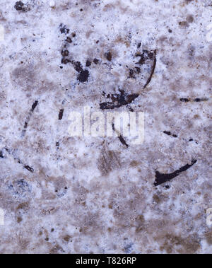 sewer iron hatch covered with polluted snow. background, seasonal Stock Photo