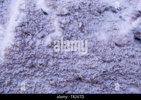 polluted city snow texture. urban, background. Stock Photo