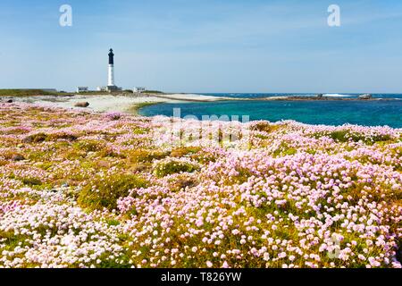 France, Finistere, Ponant islands, Ile de Sein, The main lighthouse of the island of Sein Stock Photo