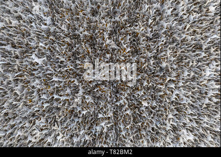 Abstract silver sheets hanging on ceiling background Stock Photo