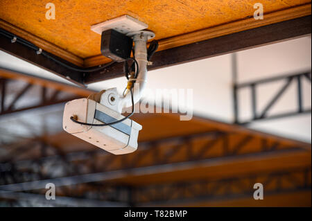 White dirty bullet CCTV (closed-circuit television) camera installation on wooden ceiling Stock Photo