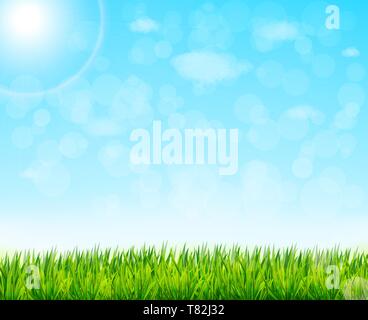 Nature background with green grass and blue sky. Vector illustration ...