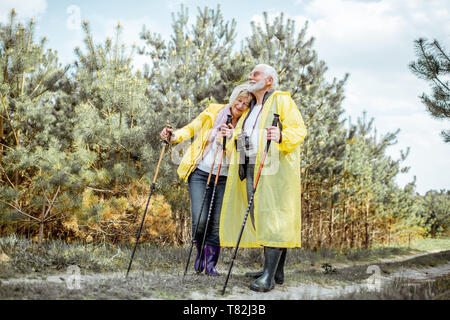 Happy senior couple in yellow raincoats hiking with trekking sticks in the young pine forest. Concept of an active lifestyle on retirement Stock Photo