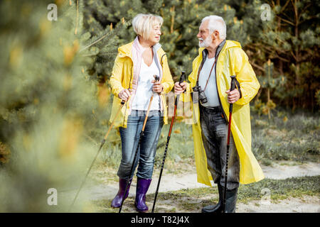 Portrait of a happy senior couple in yellow raincoats hiking with trekking sticks in the young pine forest. Concept of an active lifestyle on retirement Stock Photo