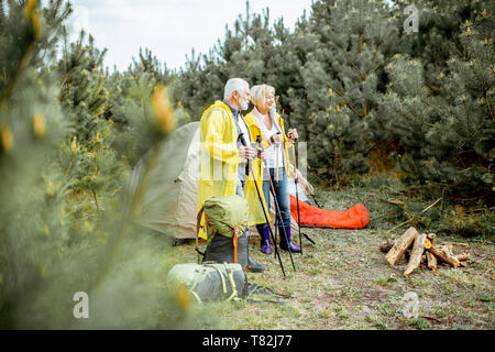Senior couple in yellow raincoats at the campsite with tent and fireplace in the young pine forest