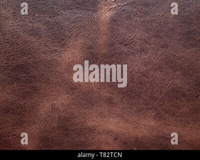 Seamless brown leather texture. Stock Photo