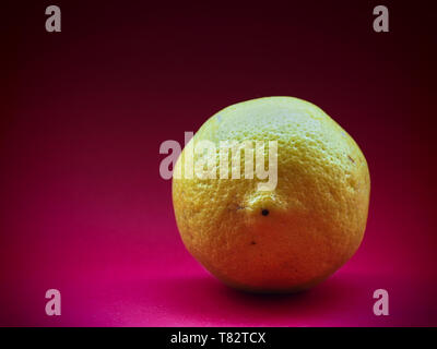 One whole lemon isolated on magenta background. Stock Photo