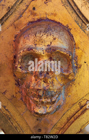 Image of a skull attached to a wall and colored with ocher and gold tones Stock Photo