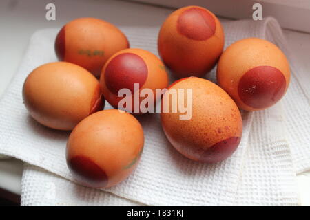 fresh chicken eggs boiled lay on table for breakfast Stock Photo