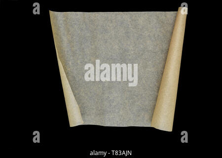 Craft beige scroll paper with twisted two sides with copy space and isolated on black background Stock Photo