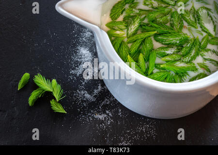 ingredients for spruce tip milk shake in ceramic measuring cup Stock Photo