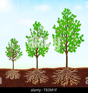 Growth of the tree vector background Stock Vector