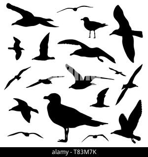 Seagull silhouette set isolated on white background vector Stock Vector