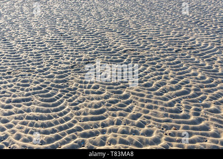 East Frisian Nordsee Island Spiekeroog, Wadden Sea National Park, in winter, Stock Photo