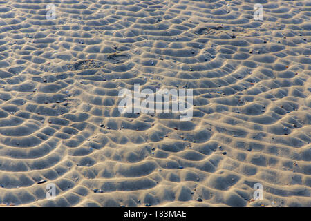 East Frisian Nordsee Island Spiekeroog, Wadden Sea National Park, in winter, Stock Photo