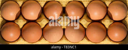 Twelve eggs in the package. Top view. Close-up panorama. Tray with eggs Stock Photo