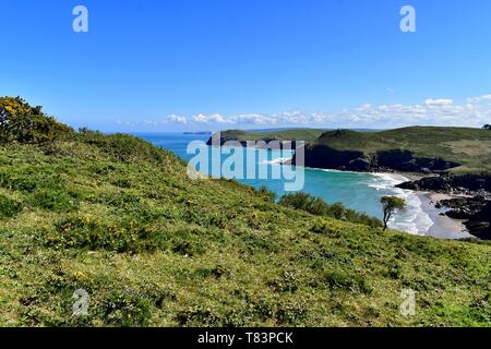 The North Cornwall Coast from Rumps Point. Stock Photo