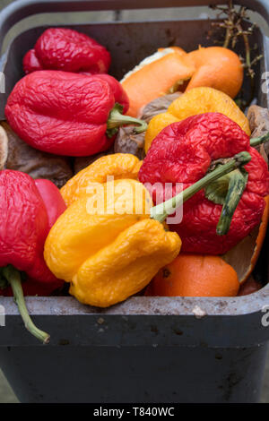 Home kitchen wast food in a recycling bin Stock Photo
