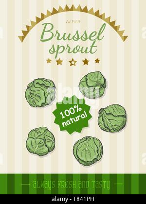 Vector poster with a Brussels sprouts in a sketch style. Vector illustration for your design Stock Vector