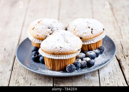 Three homemade fresh muffins with sugar powder and blueberries on ceramic plate closeup on rustic wooden table background. Stock Photo